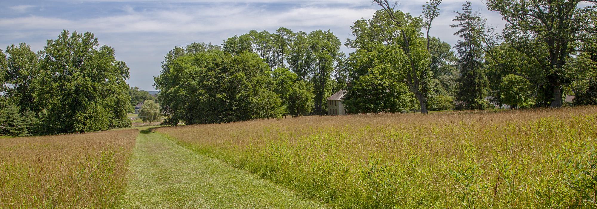 Hampton National Historic Site, Baltimore, MD