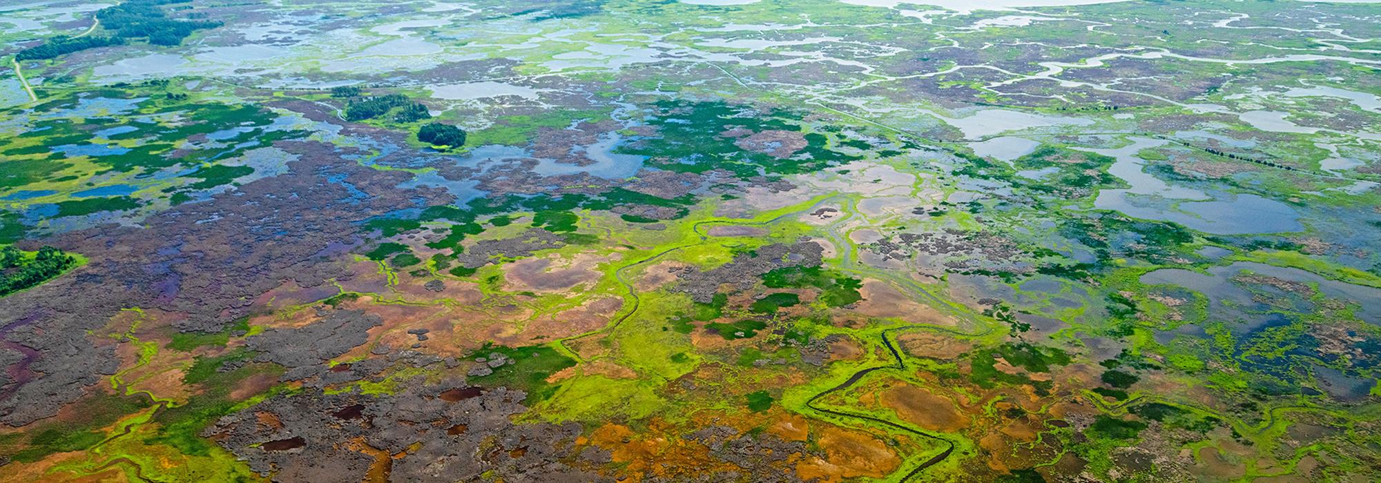 Blackwater National Wildlife Refuge, Dorchester, MD 