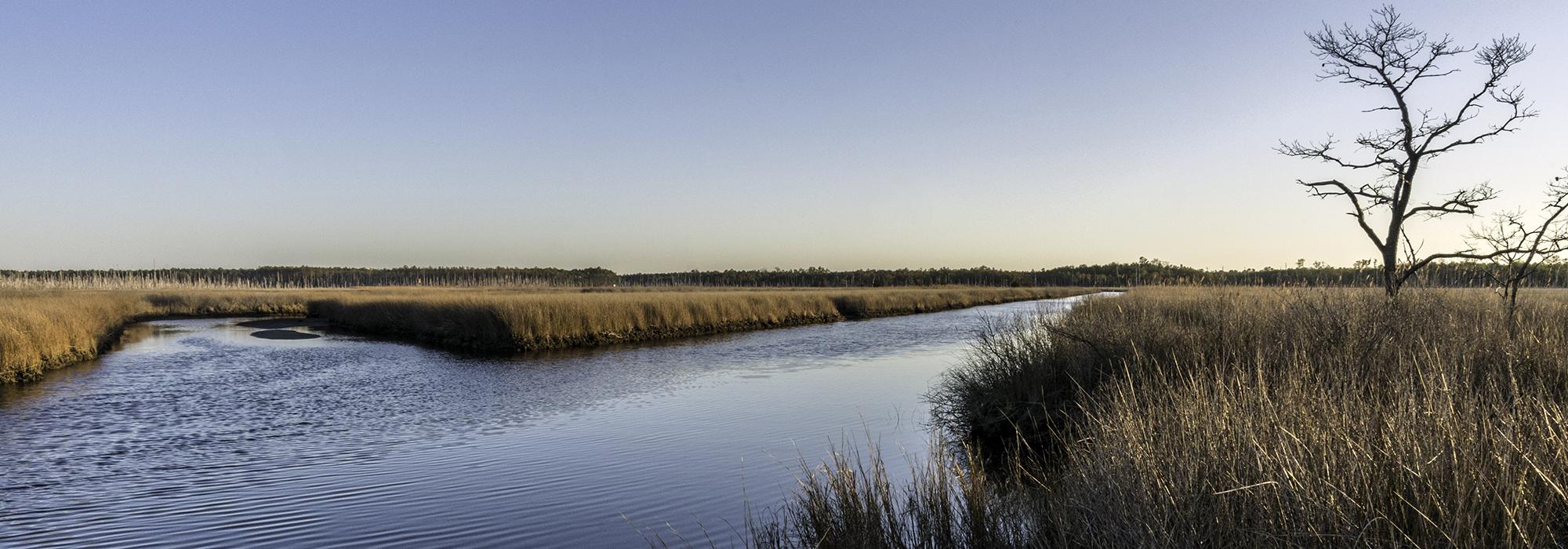 Parson's Creek, Joseph Stewart Canal, Harriet Tubman Underground Railroad National Monument, Dorchester County, MD