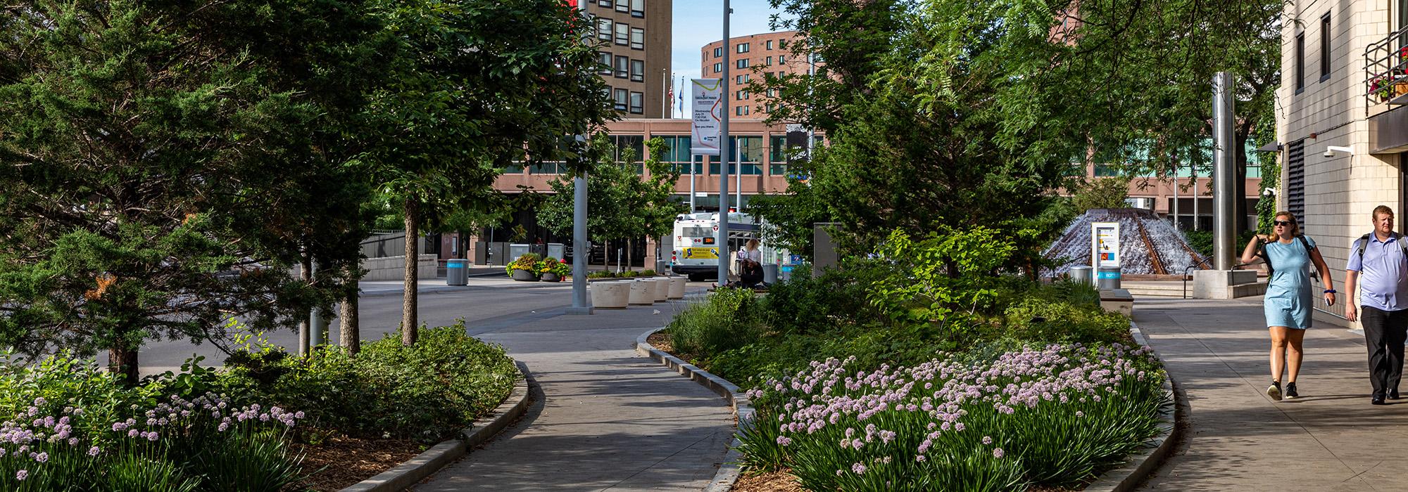 Nicollet Mall, Minneapolis, MN