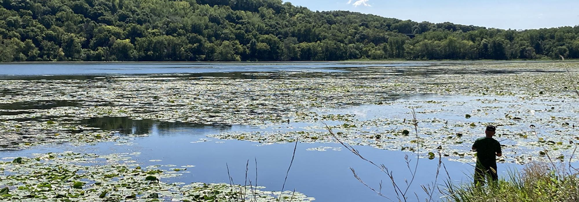 Lilydale Regional Park, St. Paul, MN