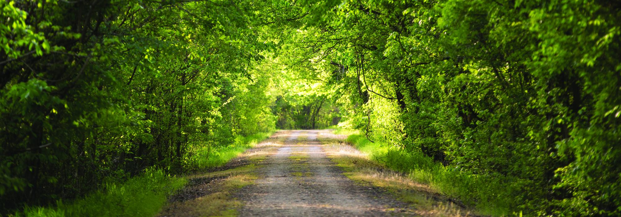 Katy Trail State Park, St. Louis, MO