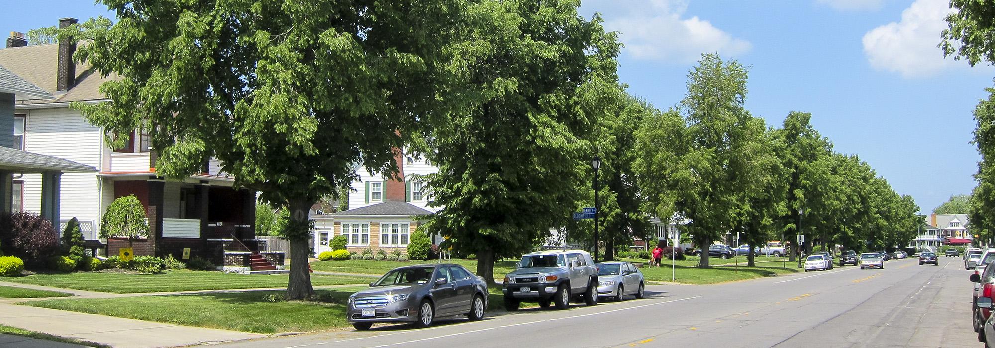 McKinley Parkway, Buffalo, NY