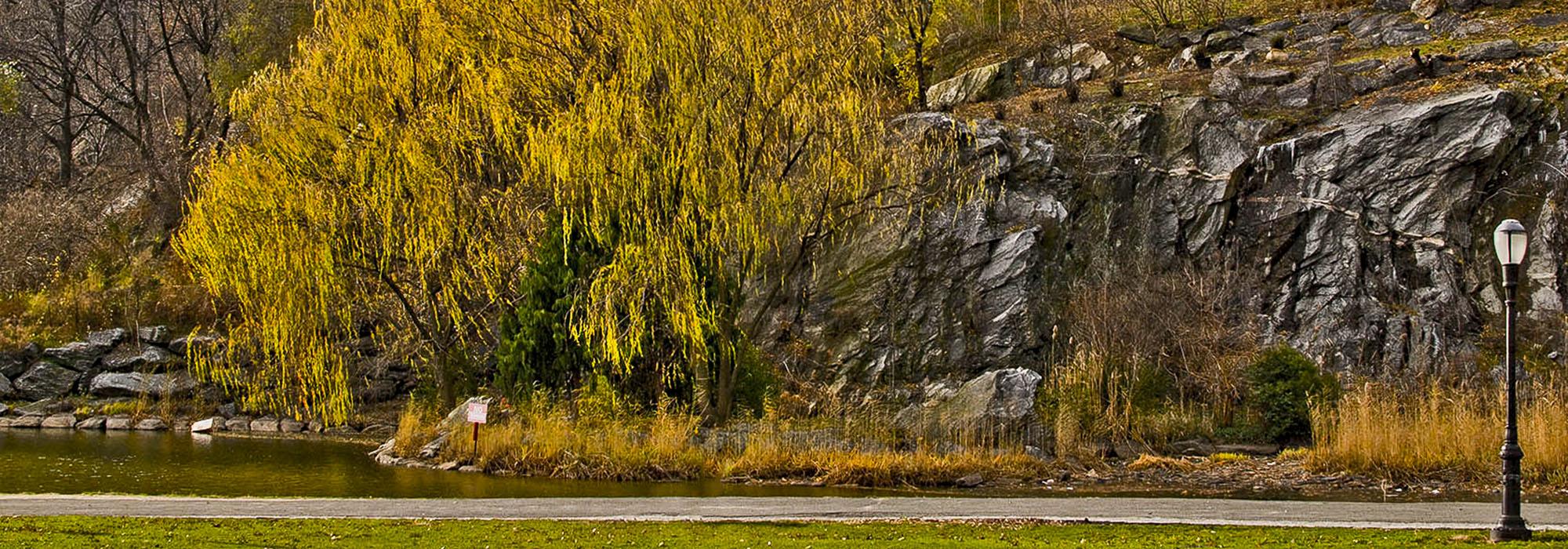 Morningside Park, New York, NY