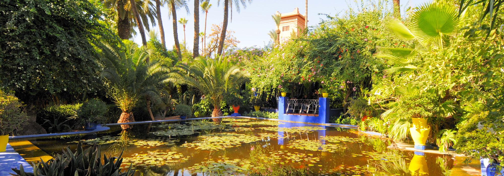 Jardin Majorelle, Marrakech, Morocco