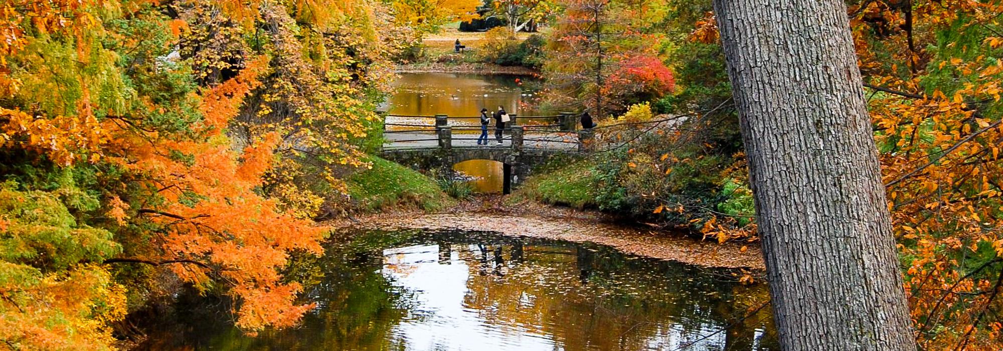 Mt Auburn Cemetery, Cambridge, MA