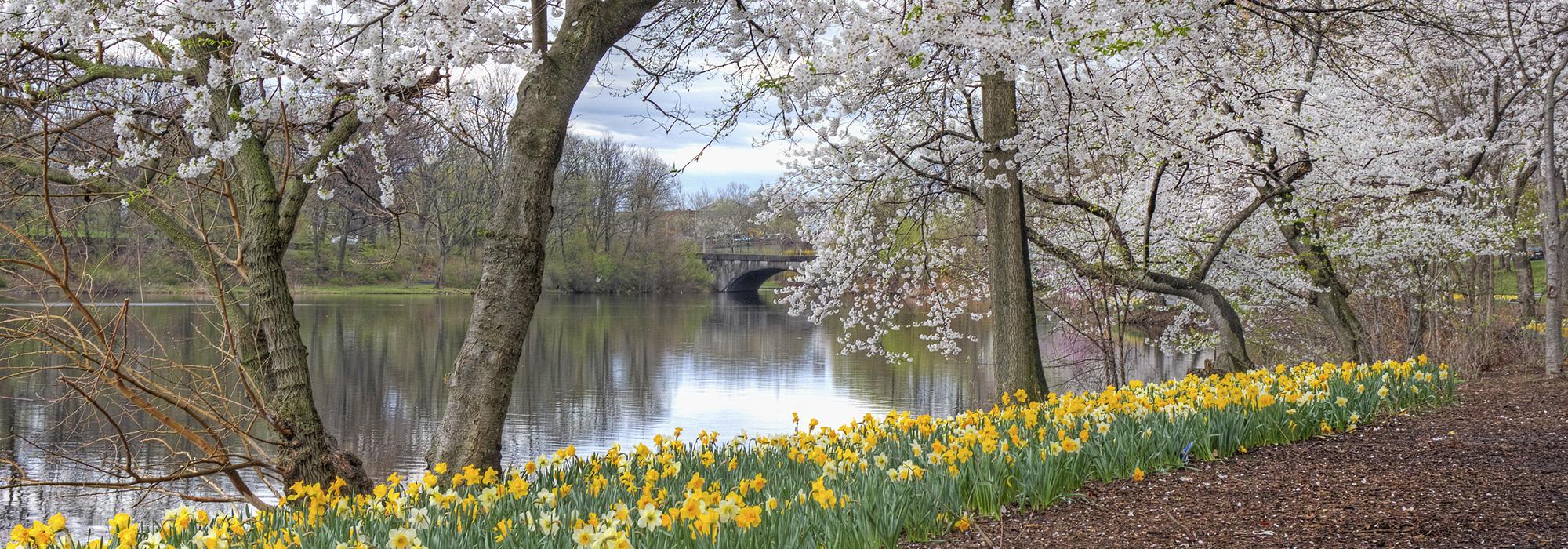 Branch Brook Park, Newark, NJ