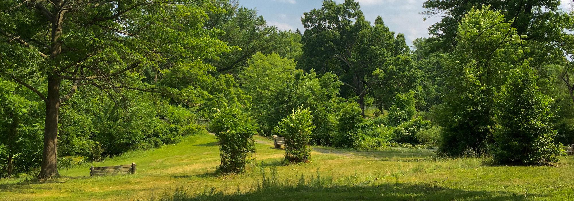 Cadwalader Park, Trenton, NJ