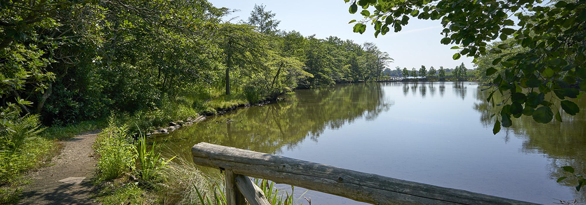 Bayard Cutting Arboretum State Park, Great River, NY