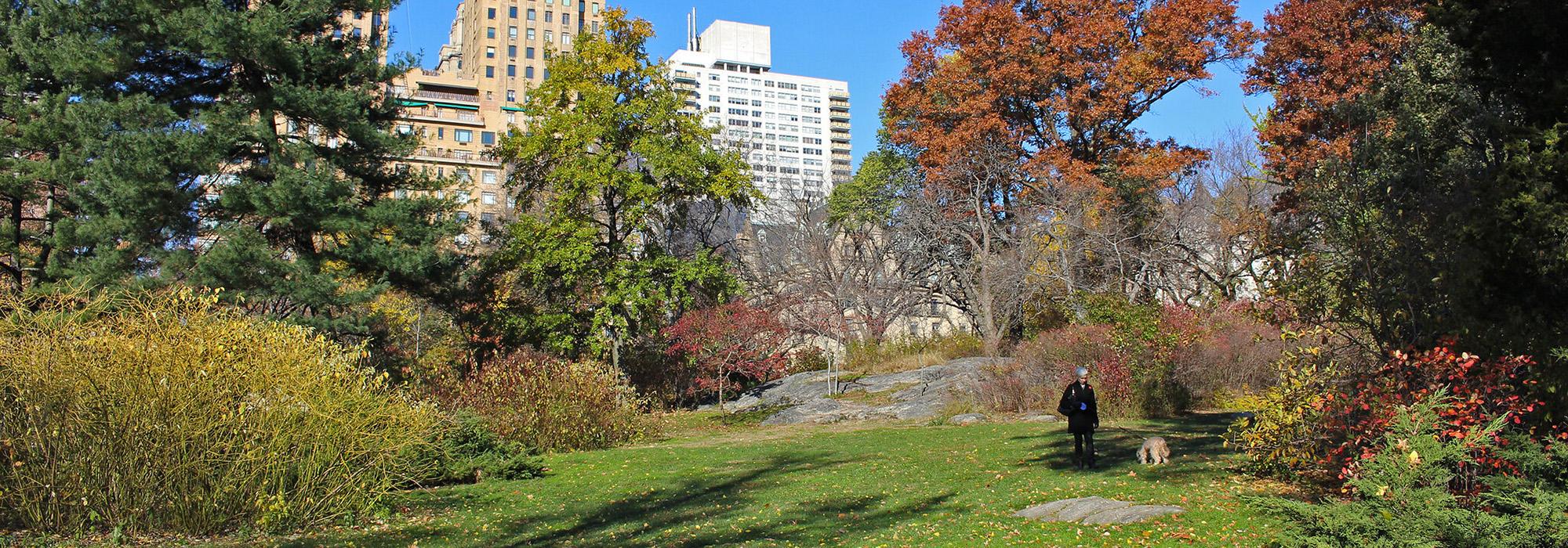 Strawberry Fields, Central Park, New York City, NY