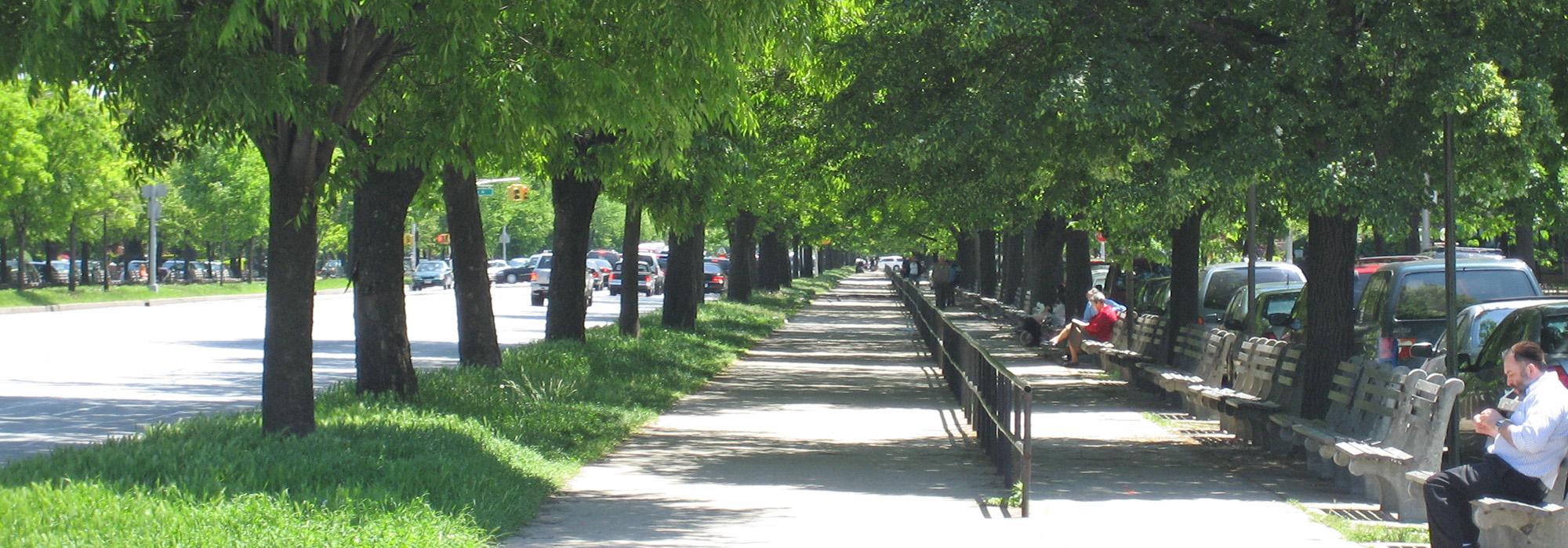 Ocean Parkway, Brooklyn, NY