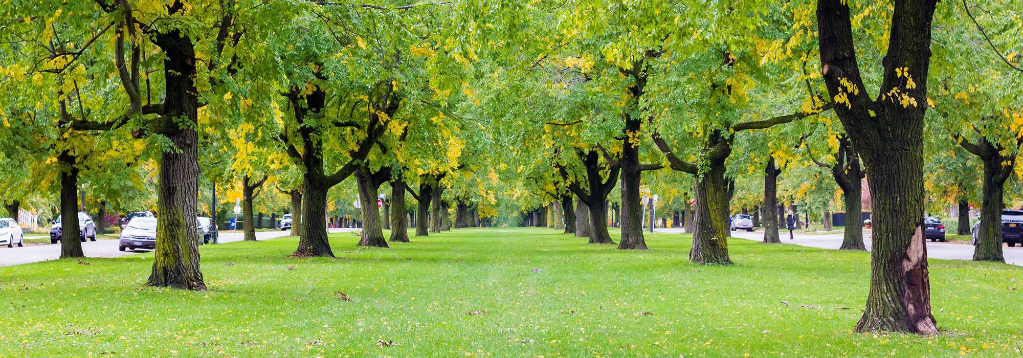 Buffalo Park and Parkway System, Buffalo, NY