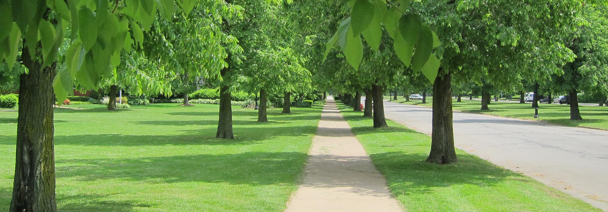 Olmsted Park and Parkway System, Buffalo, NY