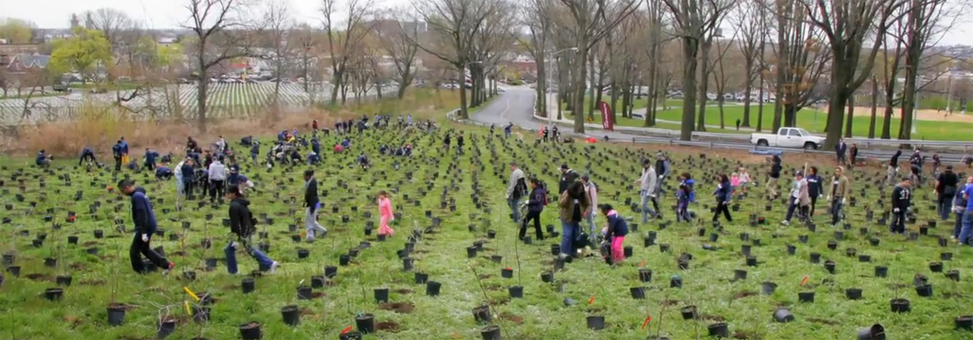 Red Hook Community Farm, Highland Park, NY