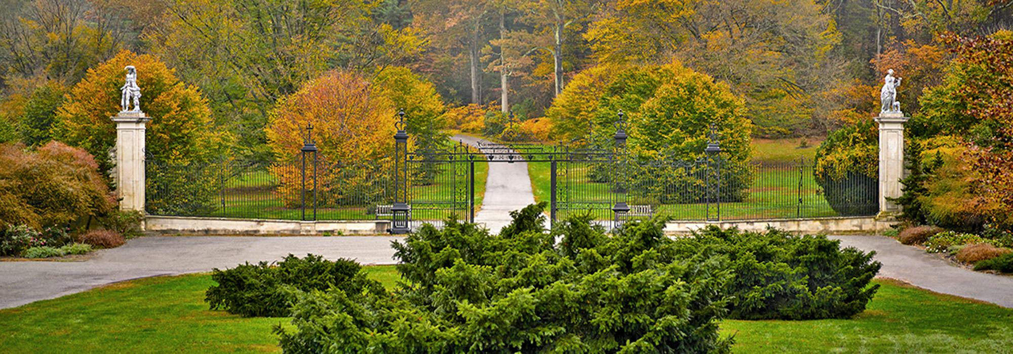 Planting Fields Arboretum Trees 'Threatened,' Advocacy Group Says | The ...