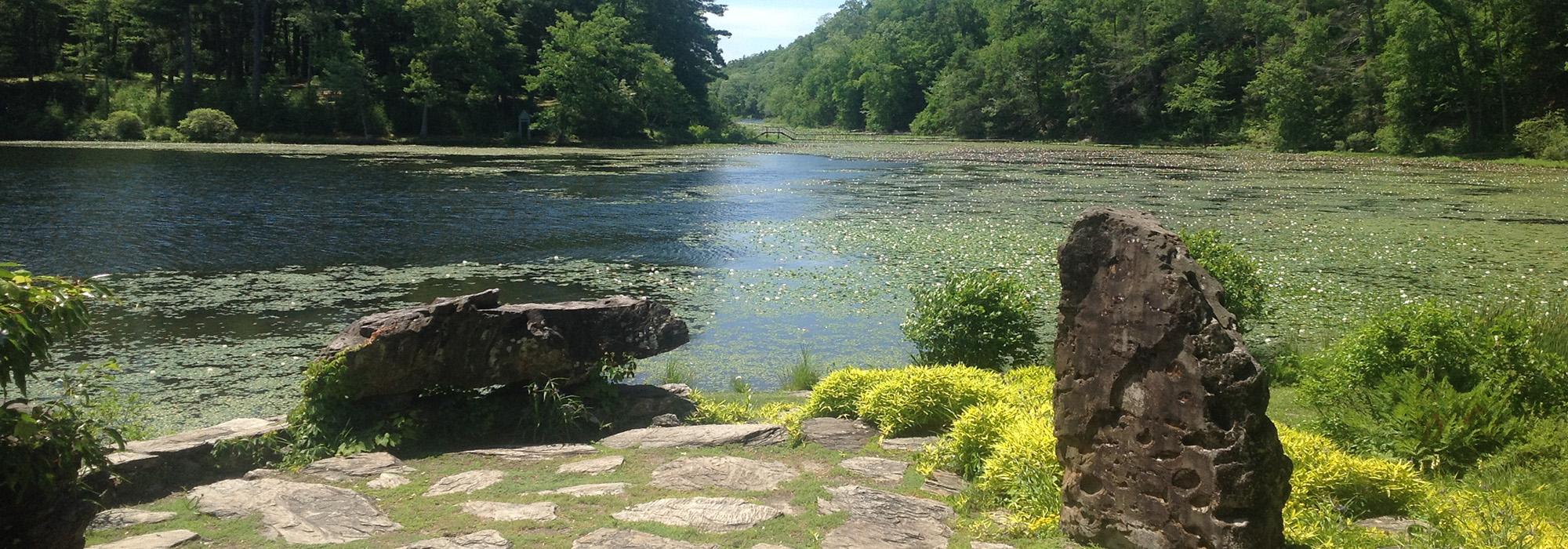 Innisfree Garden, Millbrook, NY