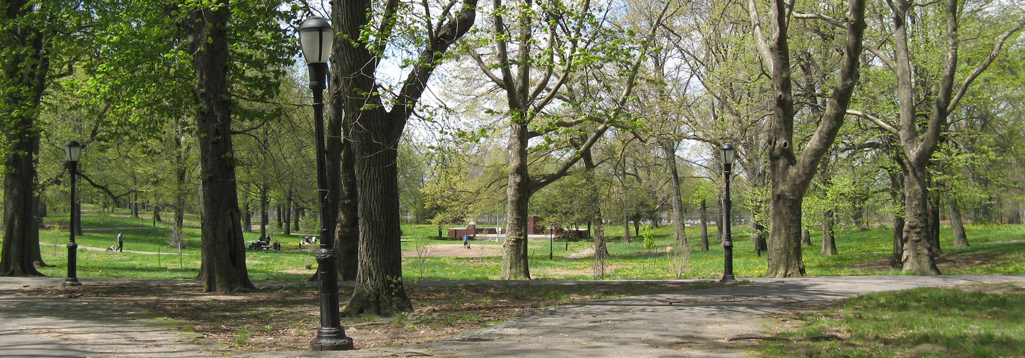 Highland Park - Brooklyn | TCLF