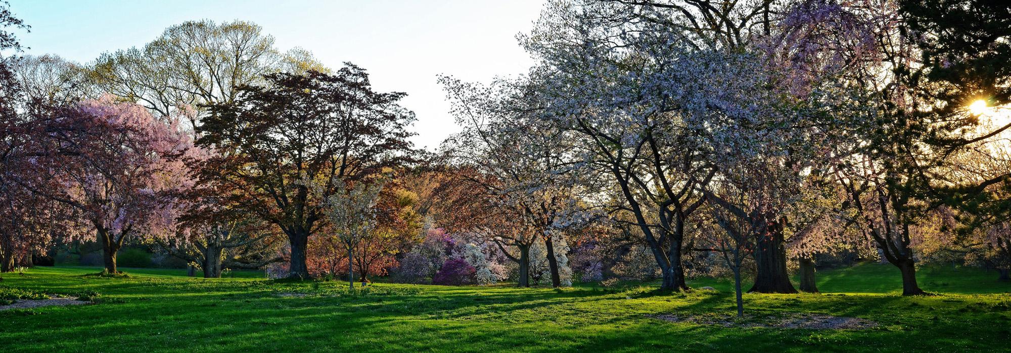 Planting Fields, Oyster Bay, NY