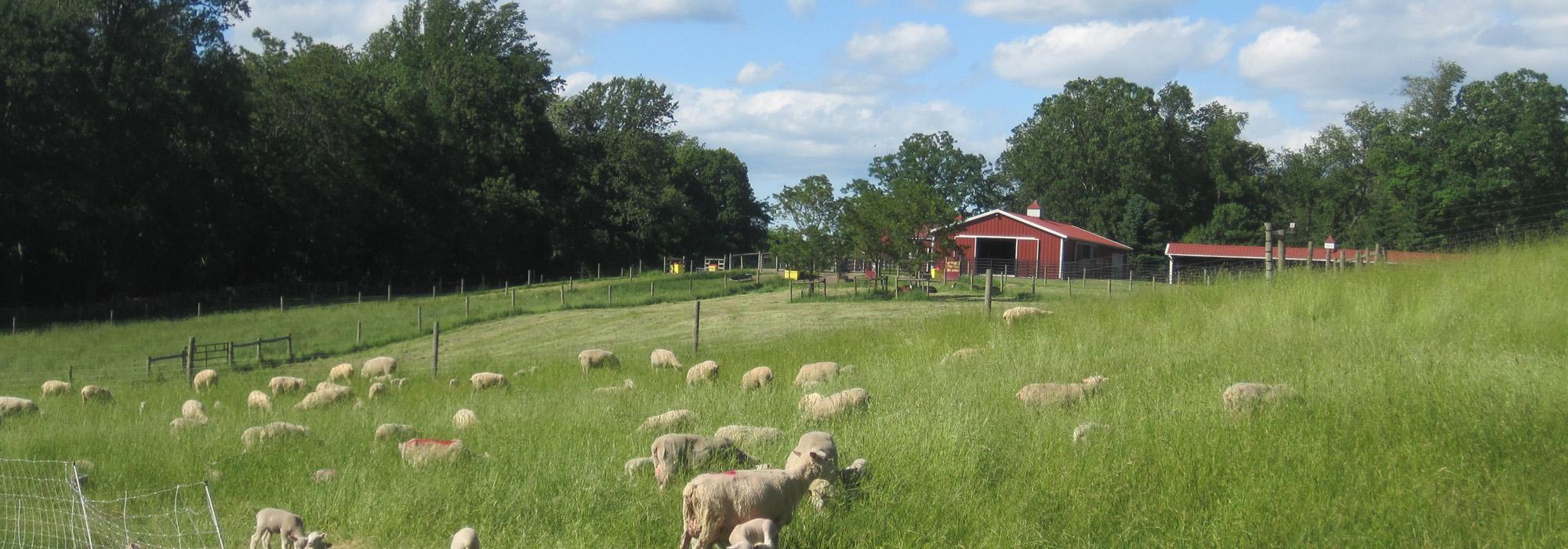 Stone Barns Center, Tarrytown, NY