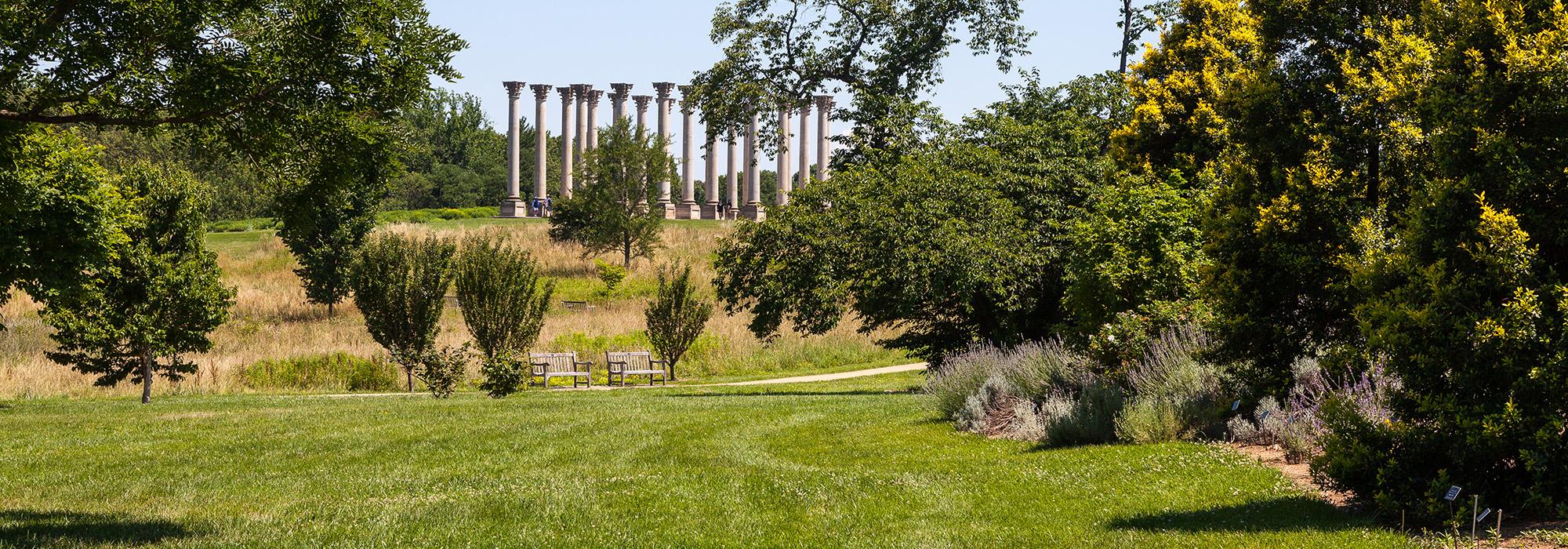 National Arboretum, Washington, DC