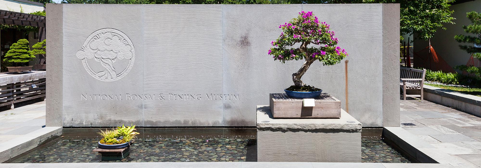 National Arboretum, Washington, DC