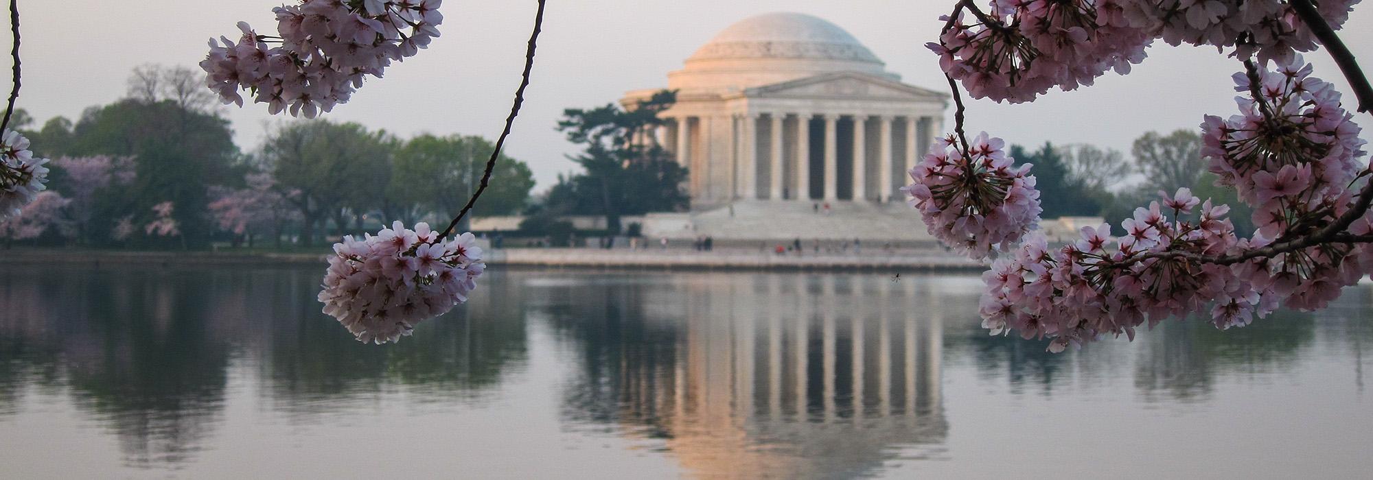 The Thomas Jefferson Memorial, Washington, D.C.