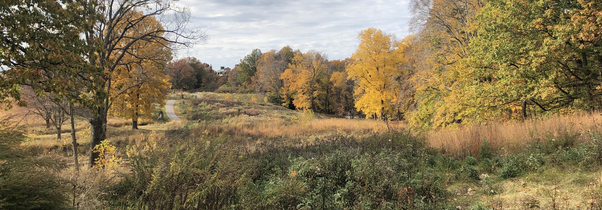 Acacia Reservation, Cleveland, OH