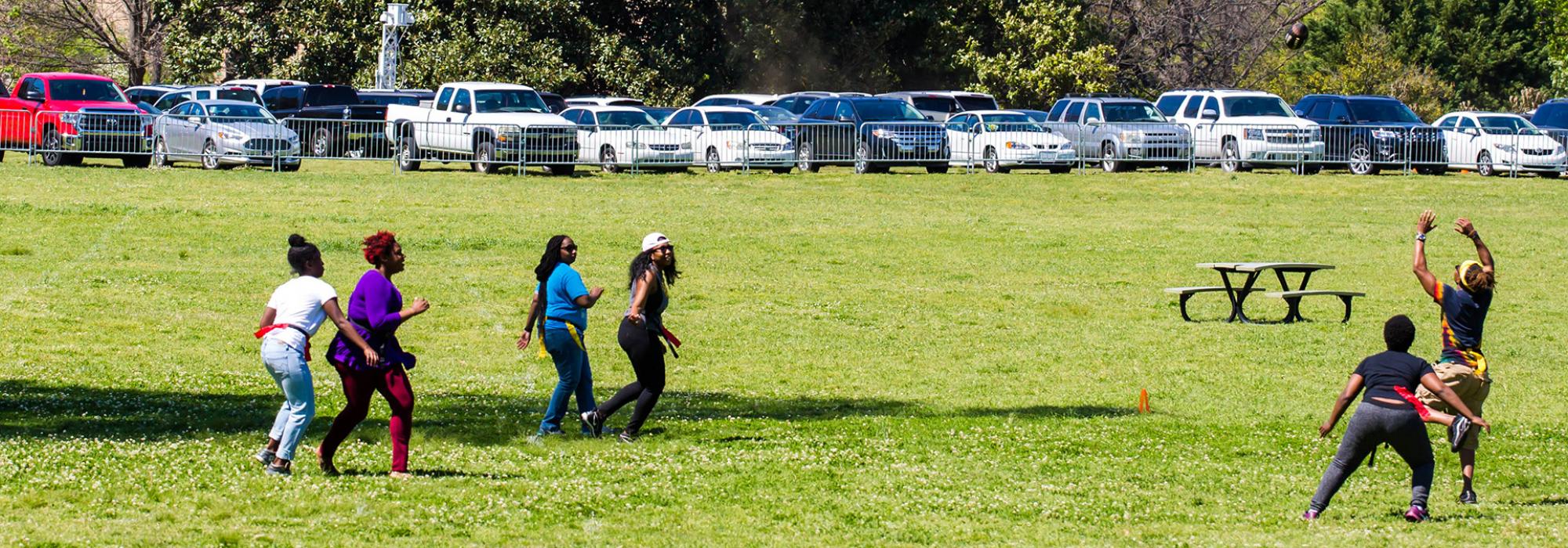 Overton Park, vehicles parked on the greensward are visible in the background.