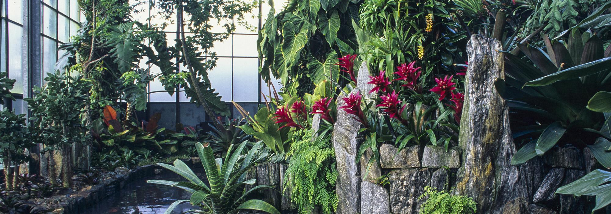 Cascade Garden of Longwood Gardens