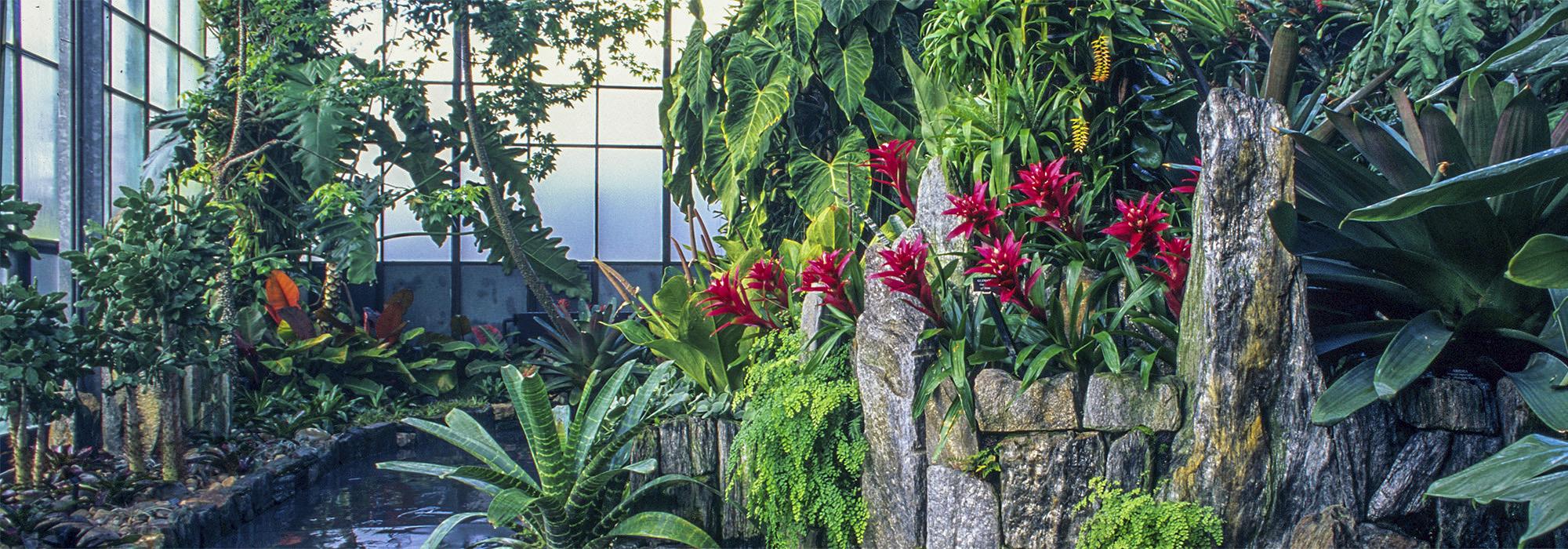 Longwood Gardens-Cascade Garden, Kennett Sqare, PA