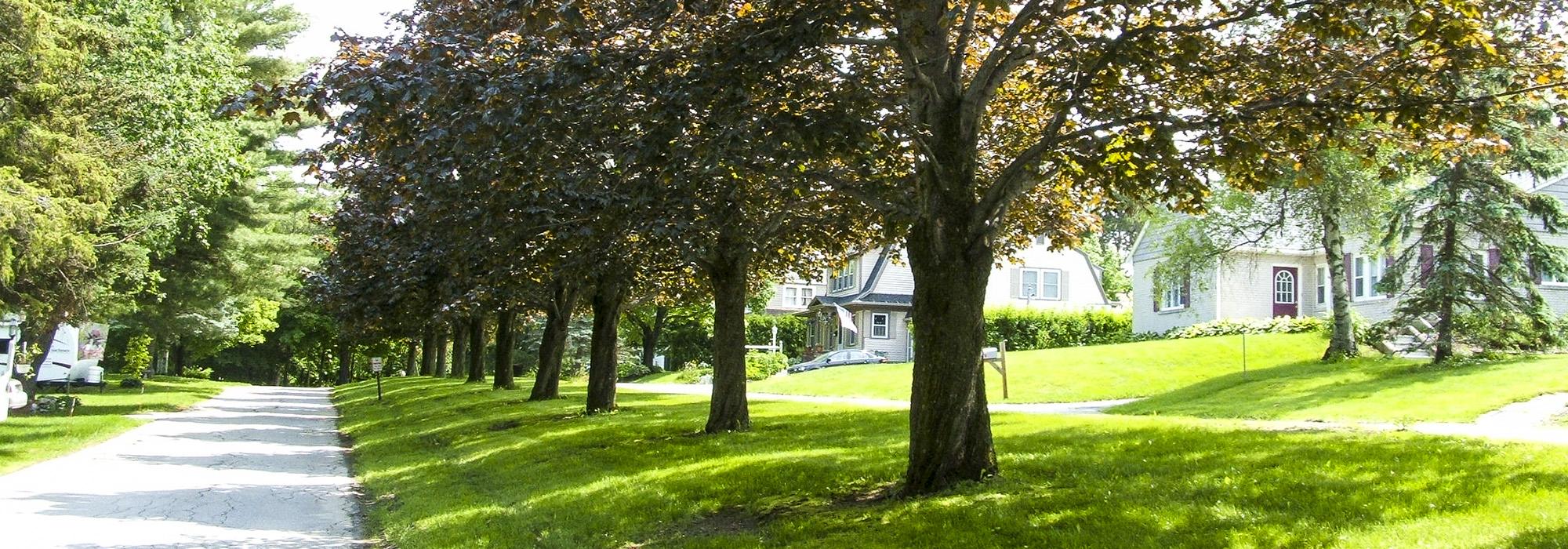 Penobscot Terrace, Orono, ME