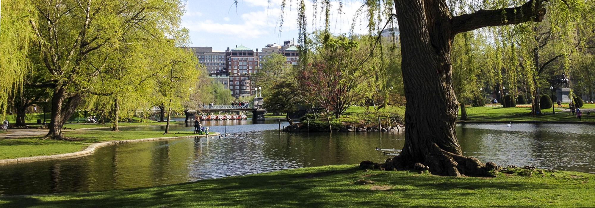 Public Garden, Boston, MA