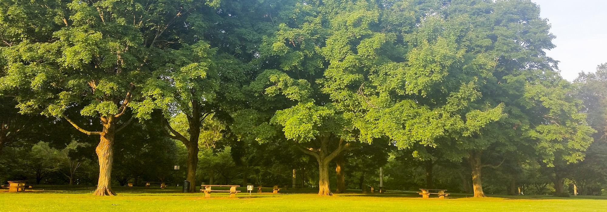 Rahway River Park, NJ