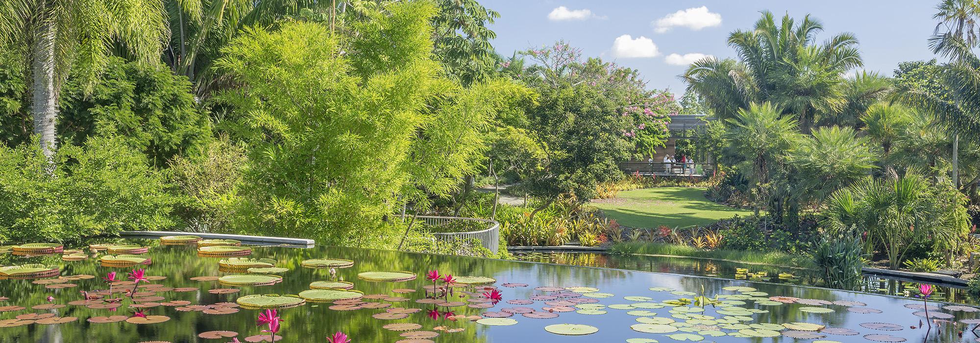 Brazilian Garden, Naples Botanical Garden