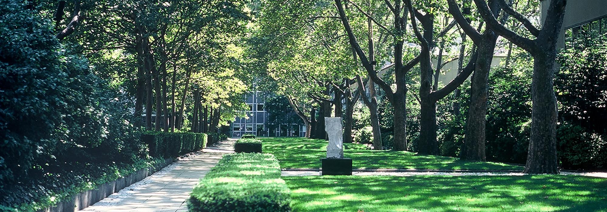 Rockefeller University | TCLF