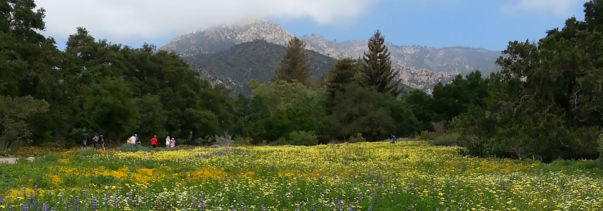 Santa Barbara Botanic Garden, Santa Barbara, CA