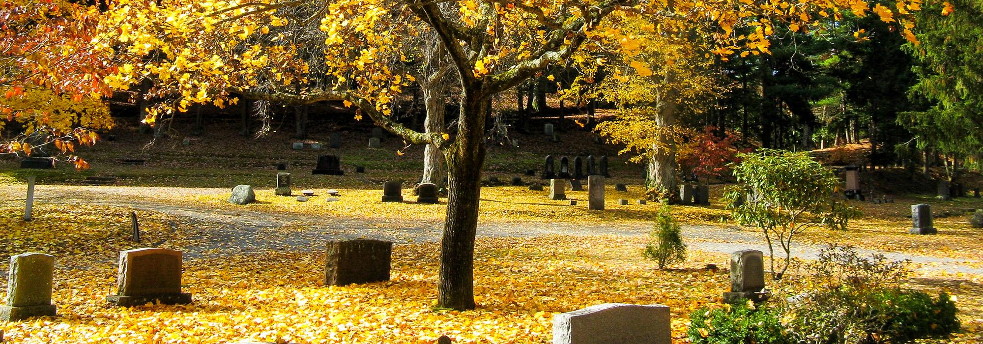 Sleepy Hollow Cemetery, Concord, MA