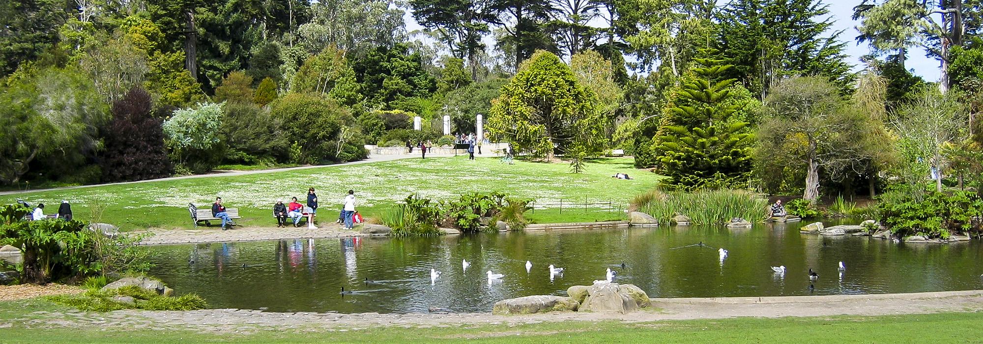 Strybing Arboretum, San Francisco, CA