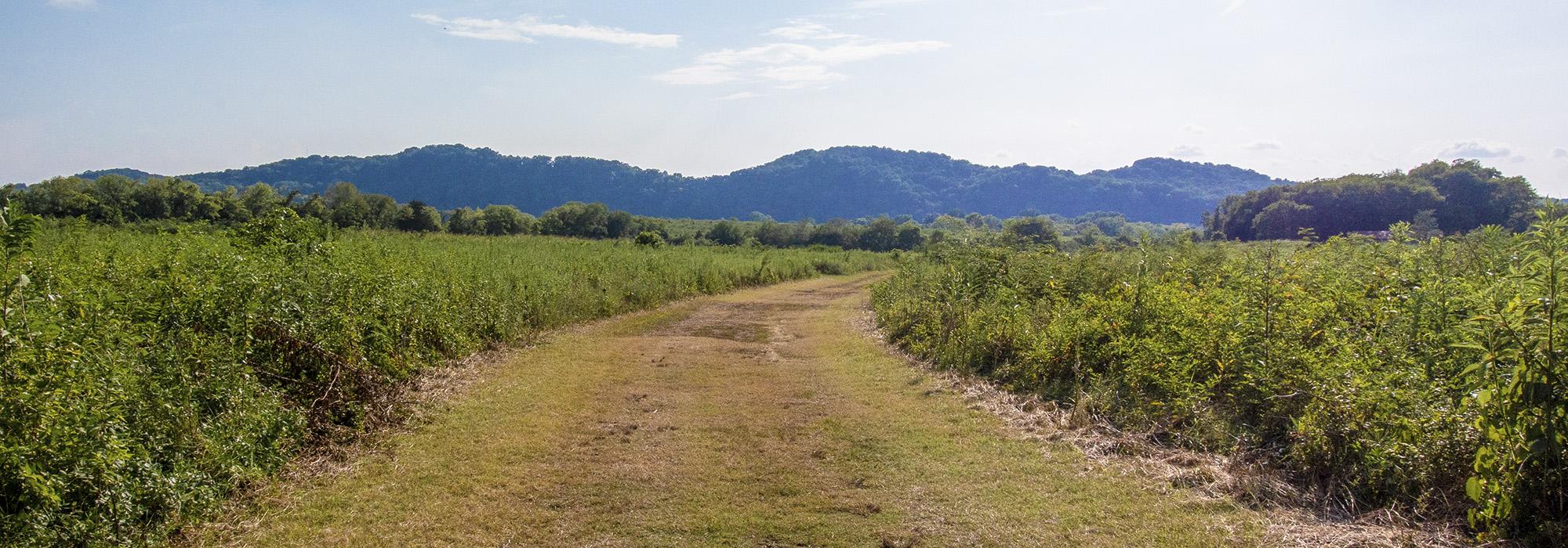 Bells Bend Park, Nashville, TN