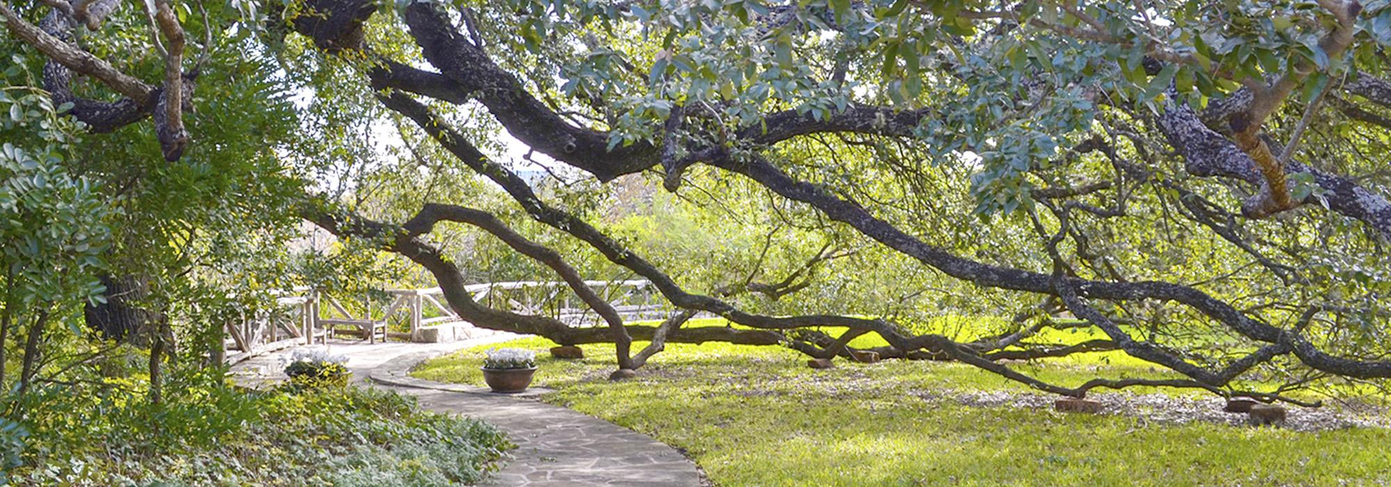 Cathedral Park, San Antonio, TX