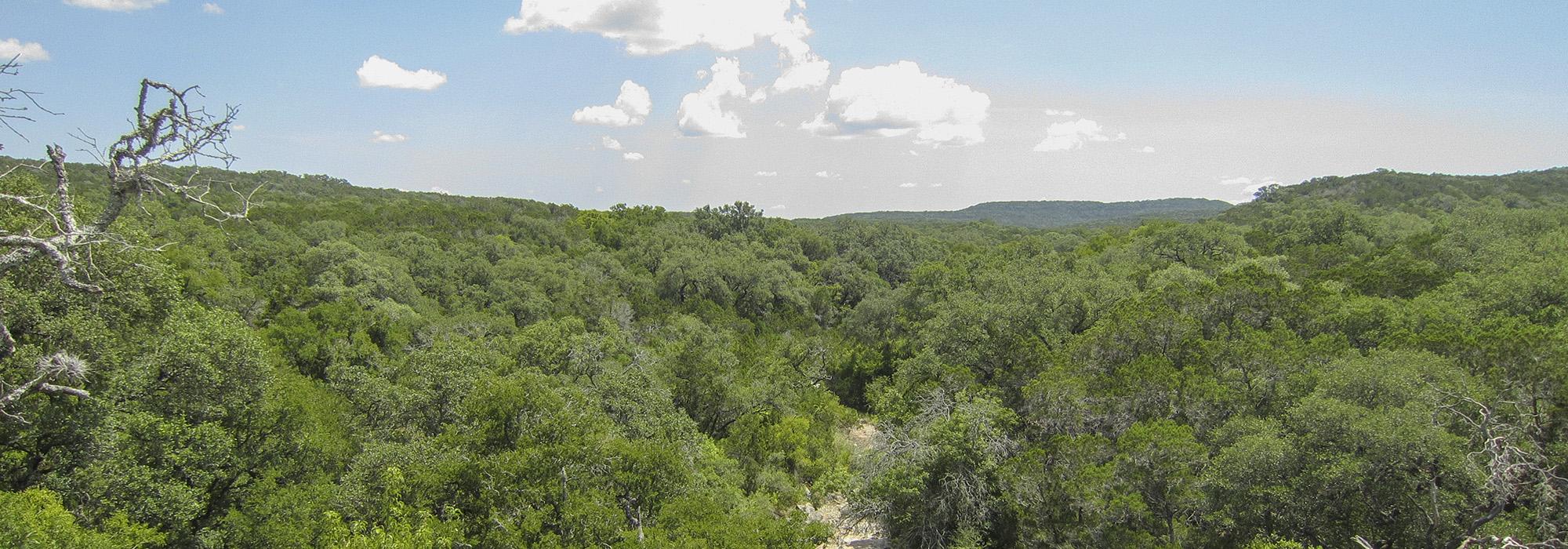 Government Canyon State Natural Area, San Antonio, TX
