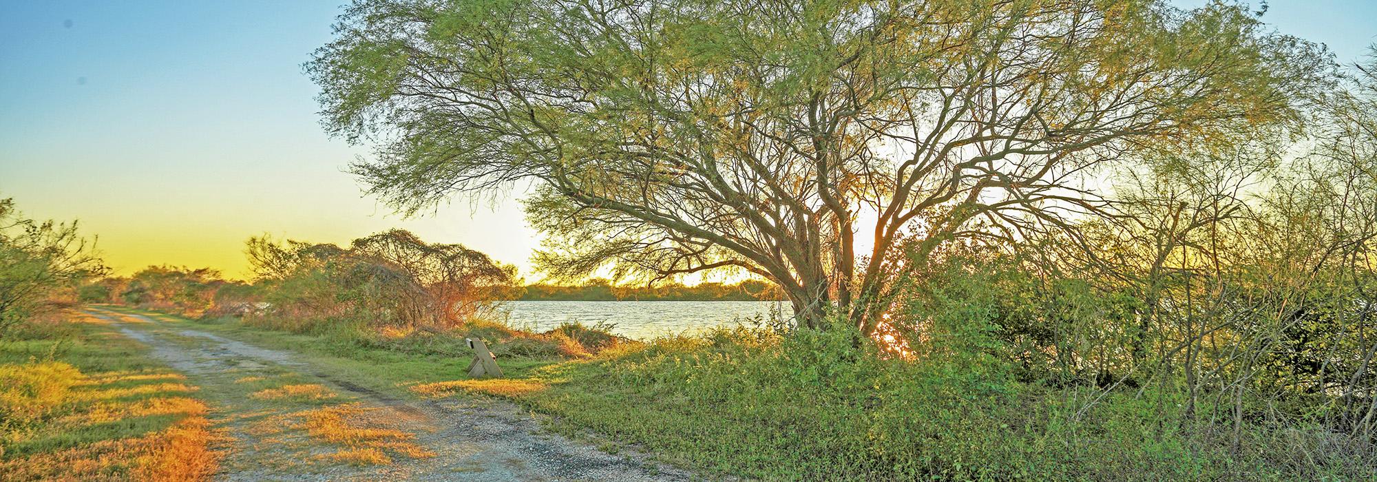 Mitchell Lake, San Antonio, TX