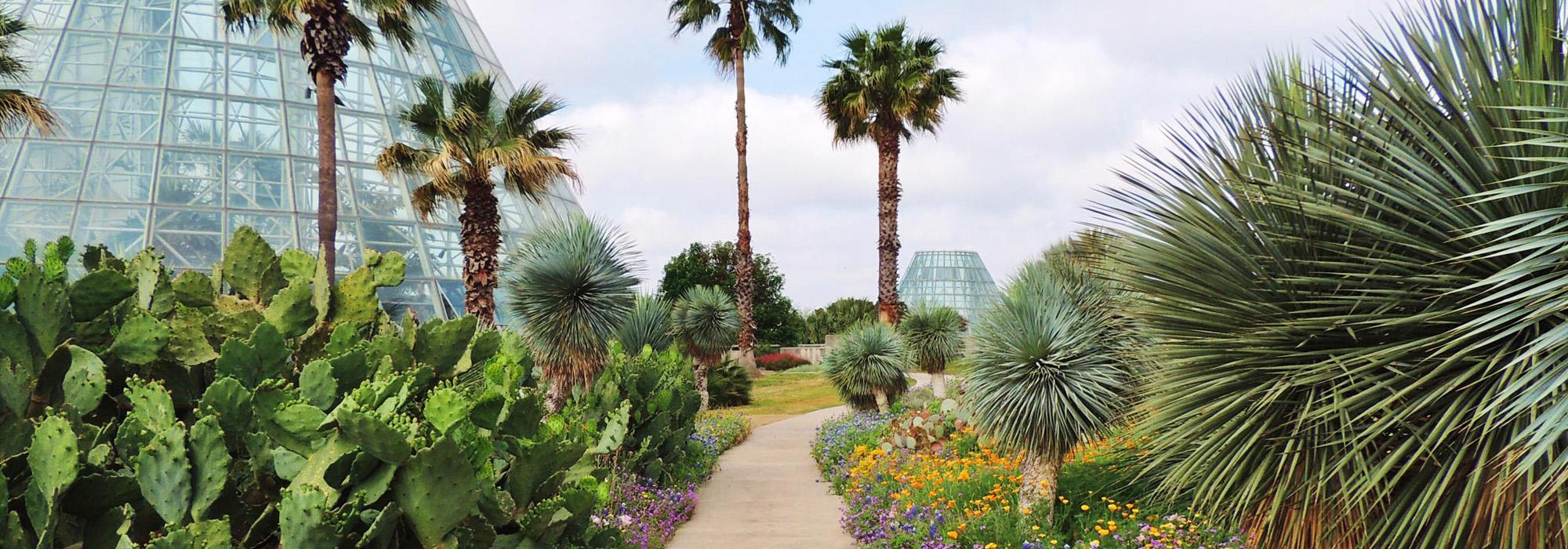 San Antonio Botanical Garden, San Antonio, TX