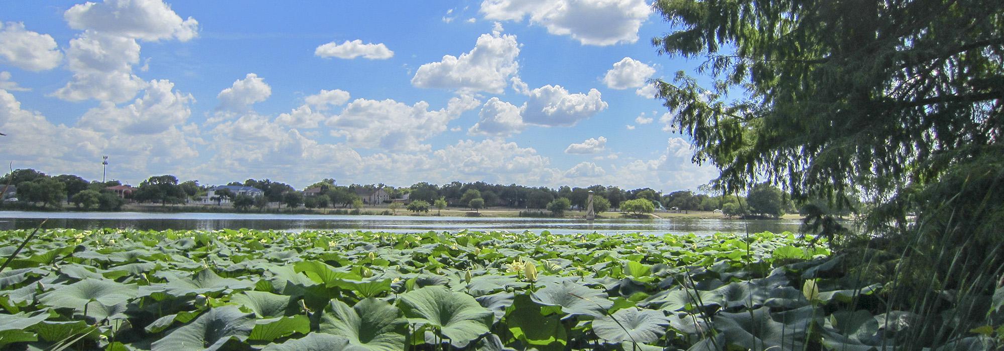 Woodlawn Lake Park, San Antonio, TX