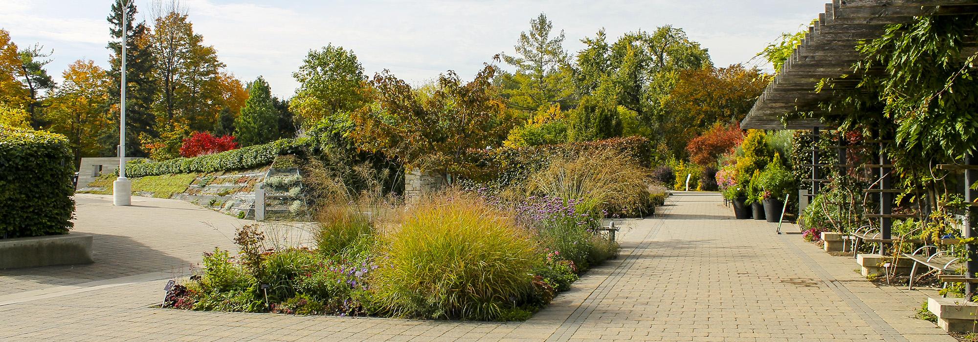 Toronto Botanical Garden, Toronto ON, Canada