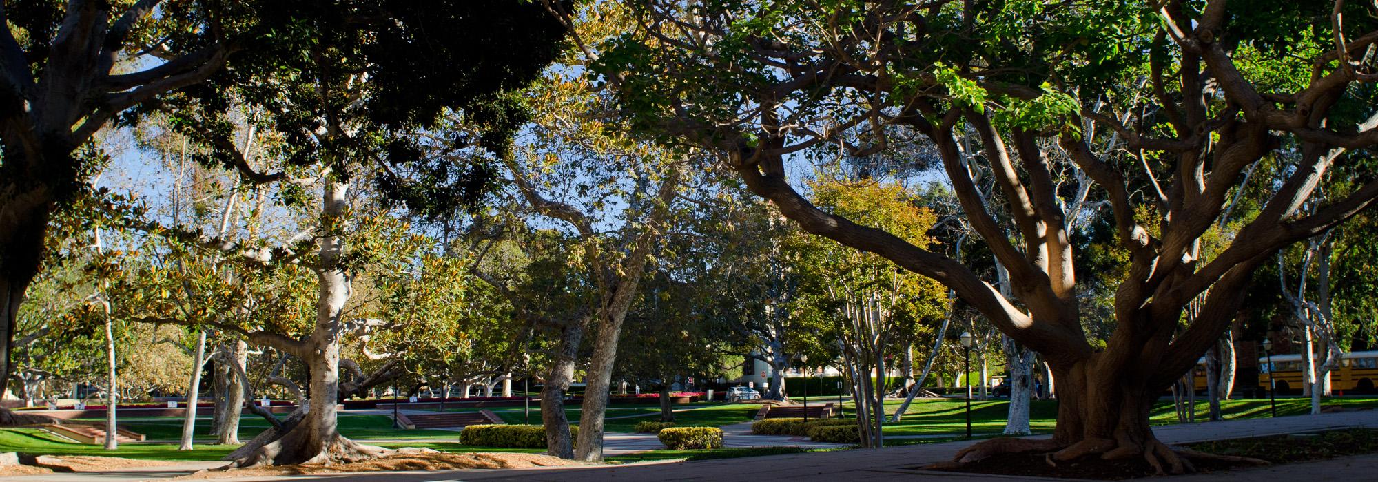 University of California, Los Angeles