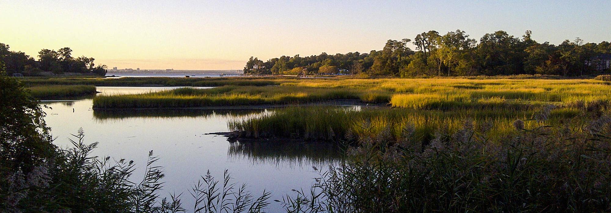 Udall's Park Preserve, Little Neck, NY