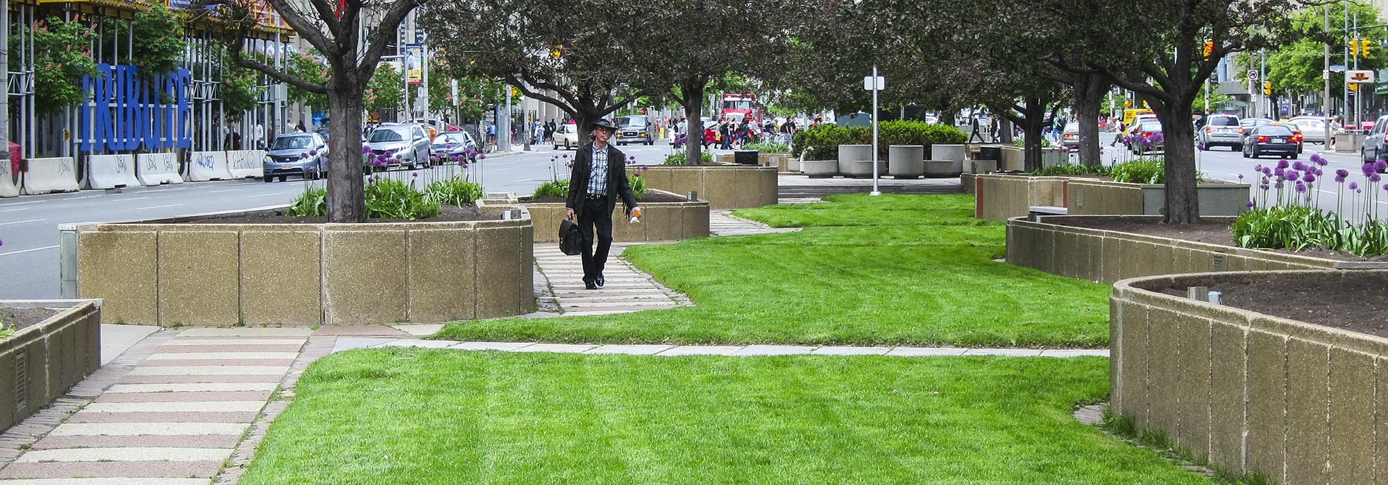 University Avenue, Toronto, CA