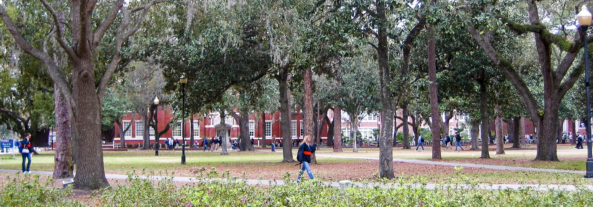 University of Florida, Gainesville, FL