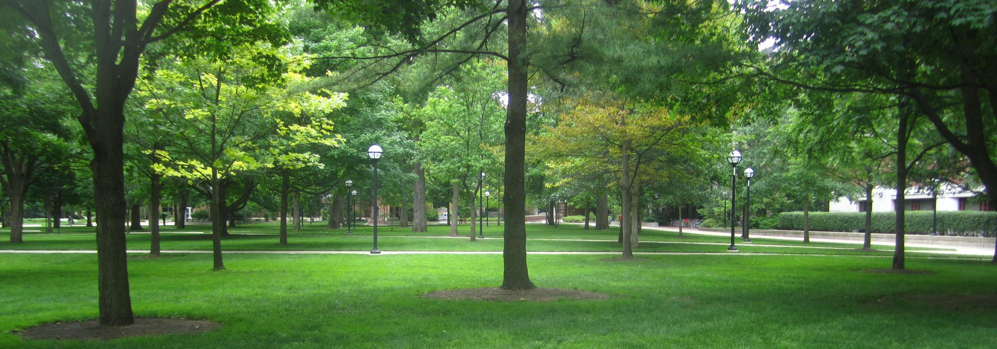 University of Michigan, Ann Arbor, MI